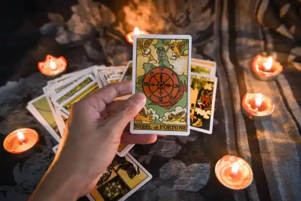 tarot cards Steubenville